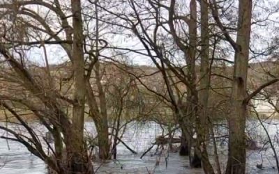 Giftstoffe und Abfallstoffe