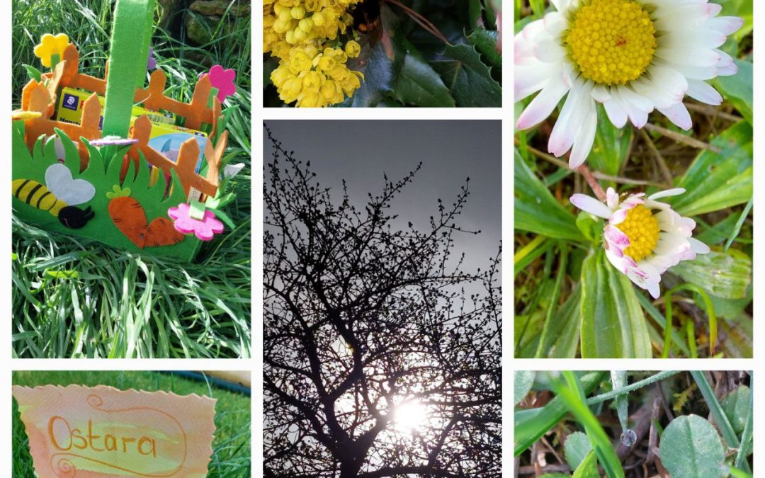 Ostara Fest statt Ostern