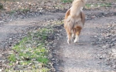 Menschen begegnen sich zum gegenseitigen üben und lernen