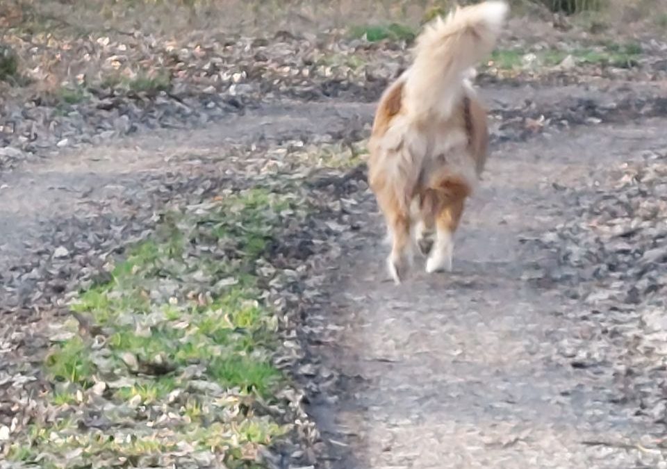 Menschen begegnen sich zum gegenseitigen üben und lernen