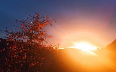 Hexenverbrennung – Walpurgisnacht