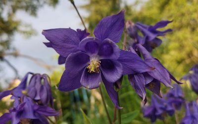 Neumond = Neuer Anfang