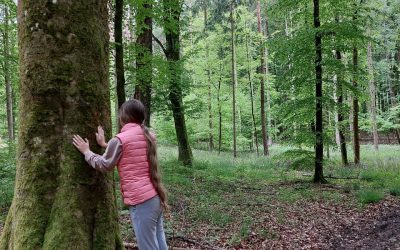 Große Baumwesen helfen uns bei der Verarbeitung