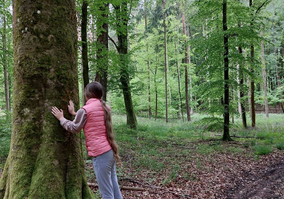 Große Baumwesen helfen uns bei der Verarbeitung