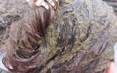 Kräuterhexe am Werk