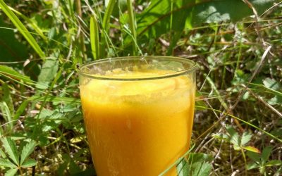 Sonnenschein Smoothie Zeit