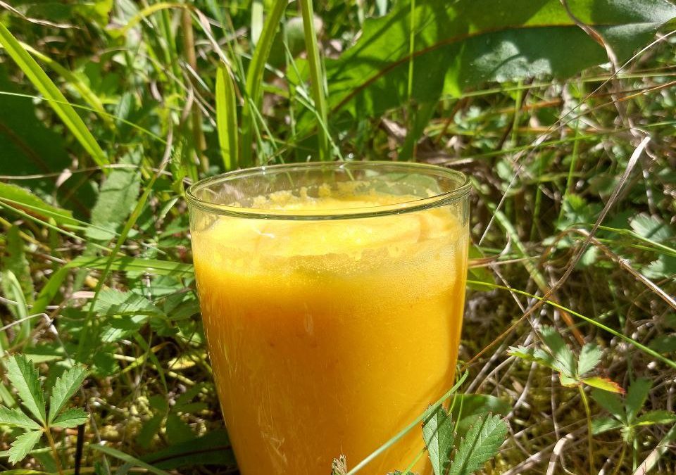 Sonnenschein Smoothie Zeit