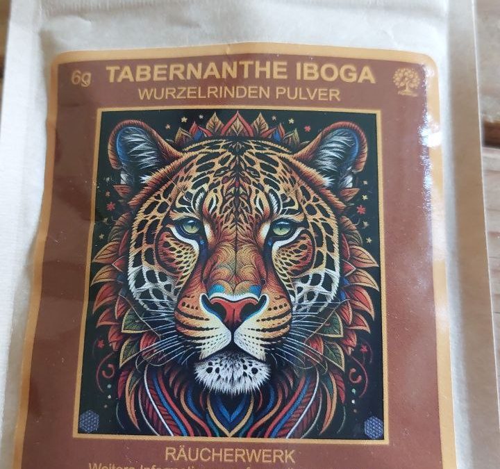 Iboga – eine Meisterpflanze