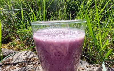 Einer unserer Lieblings Smoothies