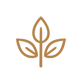 Icon individueller Ablauf